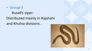 8
• Group-3
Rusell’s viper:
Distributed mainly in Rajshahi
and Khulna divisions .
 