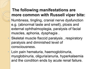 The following manifestations are
more common with Russell viper bite:
• Numbness, tingling, cranial nerve dysfunction
e.g. (abnormal taste and smell), ptosis and
external ophthalmoplegia, paralysis of facial
muscles, aphonia, dysphagia .
• Skeletal muscle flaccid paralysis , respiratory
paralysis and diminished level of
consciousness.
• Loin pain hematuria, haemoglobinuria,
myoglobinuria, oliguria/anuria, hyperkalaemia
and the condition ends by acute renal failure.
 