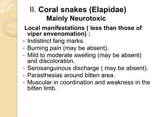 II. Coral snakes (Elapidae)
Mainly Neurotoxic
Local manifestations ( less than those of
viper envenomation) :
 Indistinct fang marks.
 Burning pain (may be absent).
 Mild to moderate swelling (may be absent)
and discoloration.
 Serosanguinous discharge ( may be absent).
 Parasthesias around bitten area.
 Muscular in coordination and weakness in the
bitten limb.
 