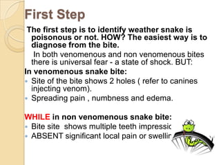 First Step
The first step is to identify weather snake is
poisonous or not. HOW? The easiest way is to
diagnose from the bite.
In both venomenous and non venomenous bites
there is universal fear - a state of shock. BUT:
In venomenous snake bite:
 Site of the bite shows 2 holes ( refer to canines
injecting venom).
 Spreading pain , numbness and edema.
WHILE in non venomenous snake bite:
 Bite site shows multiple teeth impressions
 ABSENT significant local pain or swelling.
 
