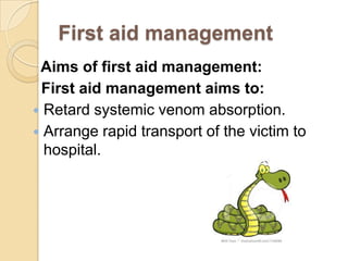 First aid management
Aims of first aid management:
First aid management aims to:
 Retard systemic venom absorption.
 Arrange rapid transport of the victim to
hospital.
 