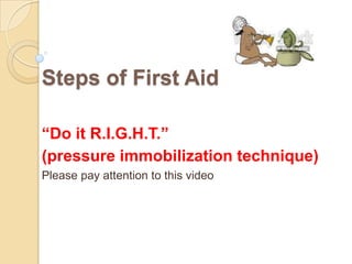 Steps of First Aid
“Do it R.I.G.H.T.”
(pressure immobilization technique)
Please pay attention to this video
 