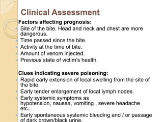 Clinical Assessment
Factors affecting prognosis:
 Site of the bite. Head and neck and chest are more
dangerous.
 Time passed since the bite.
 Activity at the time of bite.
 Amount of venom injected.
 Previous state of victim’s health.
Clues indicating severe poisoning:
 Rapid early extension of local swelling from the site of
the bite.
 Early tender enlargement of local lymph nodes.
 Early systemic symptoms as
hypotension, nausea, vomiting , severe headache
etc..
 Early spontaneous systemic bleeding and / or passage
of dark brown/black urine.
 