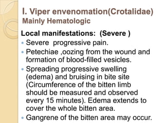 I. Viper envenomation(Crotalidae)
Mainly Hematologic
Local manifestations: (Severe )
 Severe progressive pain.
 Petechiae ,oozing from the wound and
formation of blood-filled vesicles.
 Spreading progressive swelling
(edema) and bruising in bite site
(Circumference of the bitten limb
should be measured and observed
every 15 minutes). Edema extends to
cover the whole bitten area.
 Gangrene of the bitten area may occur.
 
