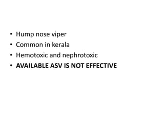 • Hump nose viper
• Common in kerala
• Hemotoxic and nephrotoxic
• AVAILABLE ASV IS NOT EFFECTIVE
 