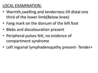 LOCAL EXAMINATION:
• Warmth,swelling and tenderness till distal one
third of the lower limb(Below knee)
• Fang mark on the dorsum of the left foot
• Blebs and discolouration present
• Peripheral pulses felt, no evidence of
compartment syndrome
• Left inguinal lymphadenopathy present- Tender+
 