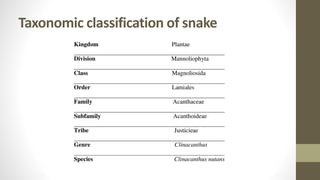 Snake farming | PPT