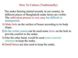 Picture of Snake farming slide | PPTX