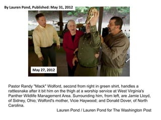 By Lauren Pond, Published: May 31, 2012

May 27, 2012

Pastor Randy "Mack" Wolford, second from right in green shirt, handles a
rattlesnake after it bit him on the thigh at a worship service at West Virginia's
Panther Wildlife Management Area. Surrounding him, from left, are Jamie Lloyd,
of Sidney, Ohio; Wolford's mother, Vicie Haywood; and Donald Dover, of North
Carolina.
Lauren Pond / Lauren Pond for The Washington Post

 