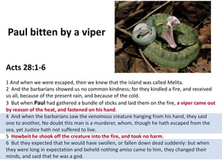 Paul bitten by a viper
Acts 28:1-6
1 And when we were escaped, then we knew that the island was called Melita.
2 And the barbarians showed us no common kindness; for they kindled a fire, and received
us all, because of the present rain, and because of the cold.
3 But when Paul had gathered a bundle of sticks and laid them on the fire, a viper came out
by reason of the heat, and fastened on his hand.
4 And when the barbarians saw the venomous creature hanging from his hand, they said
one to another, No doubt this man is a murderer, whom, though he hath escaped from the
sea, yet Justice hath not suffered to live.
5 Howbeit he shook off the creature into the fire, and took no harm.
6 But they expected that he would have swollen, or fallen down dead suddenly: but when
they were long in expectation and beheld nothing amiss came to him, they changed their
minds, and said that he was a god.

 