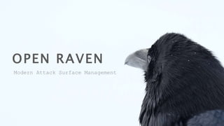 OPEN RAVEN
Modern Attack Surface Management
 