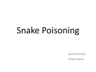 Snake Poisoning

            Saud Ahmed
            Ahad Awais
 