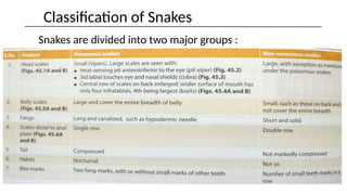 Snake Class Snake poisoning, general toxicology ppt.x | PPTX