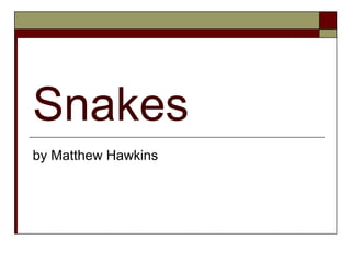 Snakes by Matthew Hawkins 