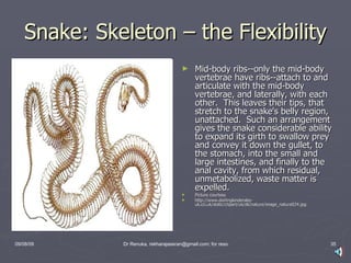 Snakes | PPT