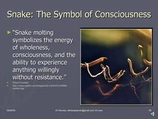 Snakes | PPT