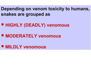 Depending on venom toxicity to humans,
snakes are grouped as
 HIGHLY (DEADLY) venomous
 MODERATELY venomous
 MILDLY venomous
 