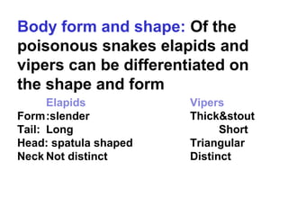 Body form and shape: Of the
poisonous snakes elapids and
vipers can be differentiated on
the shape and form
Elapids Vipers
Form:slender Thick&stout
Tail: Long Short
Head: spatula shaped Triangular
Neck Not distinct Distinct
 