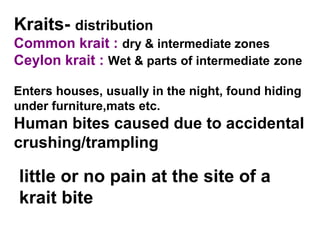 Kraits- distribution
Common krait : dry & intermediate zones
Ceylon krait : Wet & parts of intermediate zone
Enters houses, usually in the night, found hiding
under furniture,mats etc.
Human bites caused due to accidental
crushing/trampling
little or no pain at the site of a
krait bite
 