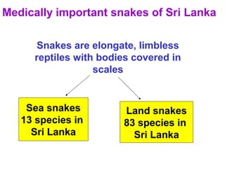 Medically important snakes of Sri Lanka
Snakes are elongate, limbless
reptiles with bodies covered in
scales
Sea snakes
13 species in
Sri Lanka
Land snakes
83 species in
Sri Lanka
 