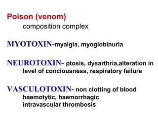 Poison (venom)
composition complex
MYOTOXIN-myalgia, myoglobinuria
NEUROTOXIN- ptosis, dysarthria,alteration in
level of conciousness, respiratory failure
VASCULOTOXIN- non clotting of blood
haemotytic, haemorrhagic
intravascular thrombosis
 