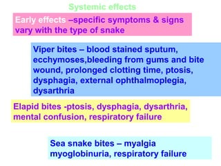 Systemic effects
Early effects –specific symptoms & signs
vary with the type of snake
Viper bites – blood stained sputum,
ecchymoses,bleeding from gums and bite
wound, prolonged clotting time, ptosis,
dysphagia, external ophthalmoplegia,
dysarthria
Elapid bites -ptosis, dysphagia, dysarthria,
mental confusion, respiratory failure
Sea snake bites – myalgia
myoglobinuria, respiratory failure
 