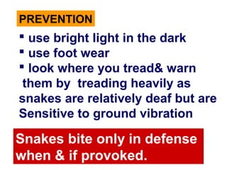 PREVENTION
 use bright light in the dark
 use foot wear
 look where you tread& warn
them by treading heavily as
snakes are relatively deaf but are
Sensitive to ground vibration
Snakes bite only in defense
when & if provoked.
 