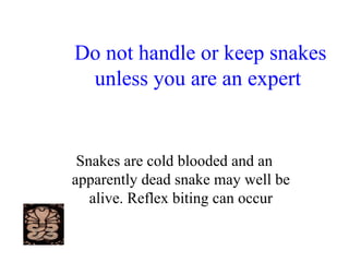 Do not handle or keep snakes
unless you are an expert
Snakes are cold blooded and an
apparently dead snake may well be
alive. Reflex biting can occur
 