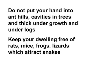 Do not put your hand into
ant hills, cavities in trees
and thick under growth and
under logs
Keep your dwelling free of
rats, mice, frogs, lizards
which attract snakes
 