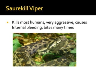  Kills most humans, very aggressive, causes
Internal bleeding, bites many times
 