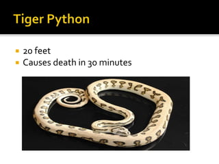  20 feet
 Causes death in 30 minutes
 