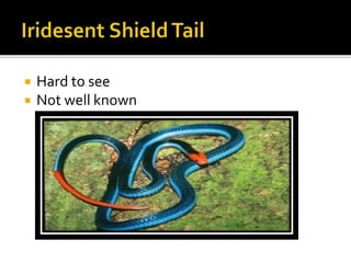  Hard to see
 Not well known
 