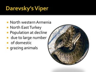  North western Armenia
 North EastTurkey
 Population at decline
 due to large number
 of domestic
 grazing animals
 