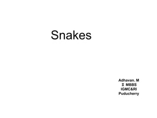 Snakes
Adhavan. M
Ⅱ MBBS
IGMC&RI
Puducherry
 