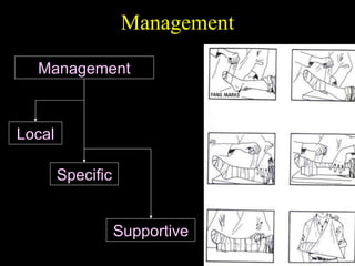 Management Management Local Specific Supportive 