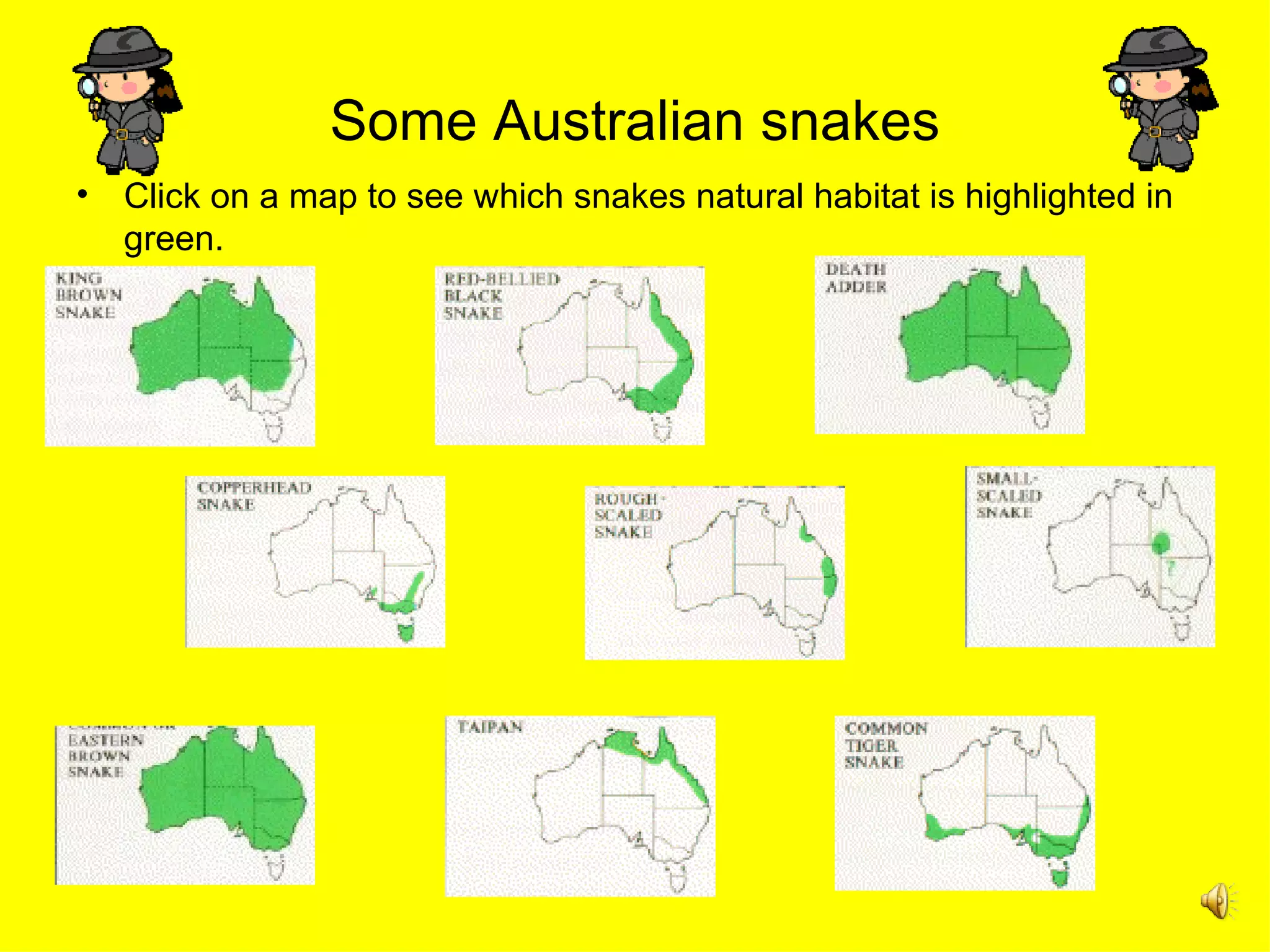 Snake safety design brief | PPT