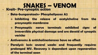 SNAKES – VENOM• Krait- Pre-synaptic action
 Beta-bungarotoxin- Phospholipases A2
 Inhibiting the release of acetylcholine from the
presynaptic membrane
 Presynaptic nerve terminals exhibited signs of
irreversible physical damage and are devoid of synaptic
vesicles
 Antivenoms & anticholinesterases have no effect
 Paralysis lasts several weeks and frequently requires
prolonged MV. Recovery is dependent upon regeneration
of the terminal axon
 