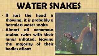 WATER SNAKES
• If just the head is
showing, it is probably a
harmless water snake
• Almost all venomous
snakes swim with their
lungs inflated, leaving
the majority of their
bodies afloat
 