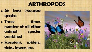 • At least 750,000
species
• Three times
number of all other
animal species
combined
• Scorpions, spiders,
ticks, Insects etc.
ARTHROPODS
 