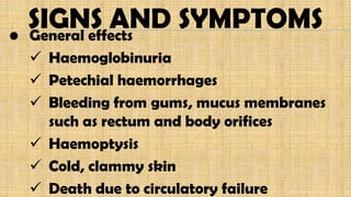 SIGNS AND SYMPTOMS• General effects
 Haemoglobinuria
 Petechial haemorrhages
 Bleeding from gums, mucus membranes
such as rectum and body orifices
 Haemoptysis
 Cold, clammy skin
 Death due to circulatory failure
 