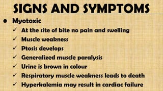 SIGNS AND SYMPTOMS
• Myotoxic
 At the site of bite no pain and swelling
 Muscle weakness
 Ptosis develops
 Generalized muscle paralysis
 Urine is brown in colour
 Respiratory muscle weakness leads to death
 Hyperkalemia may result in cardiac failure
 