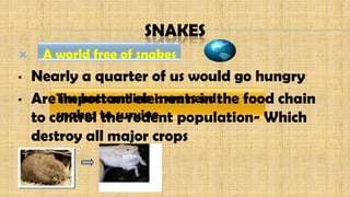 SNAKES
 A world free of snakes
• Nearly a quarter of us would go hungry
• Are important elements in the food chain
to control the rodent population- Which
destroy all major crops
The bottom line is we need
snakes to survive
 