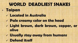 • Taipan
 Located in Australia
 Pale creamy color on the head
 Light brown, dark brown, copper, or
olive
 Usually stay away from humans
 Defend itself
WORLD DEADLIEST SNAKES
 