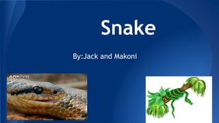 Snake
By:Jack and Makoni
 