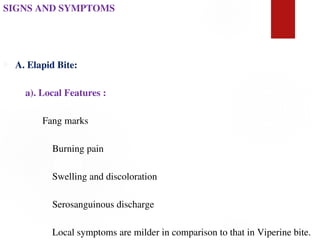 SIGNS AND SYMPTOMS
 A. Elapid Bite:
a). Local Features :
Fang marks
Burning pain
Swelling and discoloration
Serosanguinous discharge
Local symptoms are milder in comparison to that in Viperine bite.
 