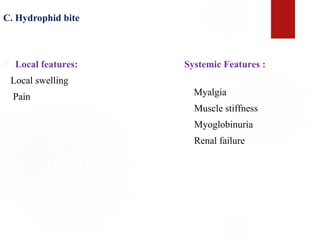 C. Hydrophid bite
 Local features:
Local swelling
Pain
Systemic Features :
Myalgia
Muscle stiffness
Myoglobinuria
Renal failure
 