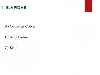 1. ELAPIDAE
 A) Common Cobra
 B) King Cobra
 C) Krait
 