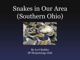 Snakes in Our Area
 (Southern Ohio)




      By Levi Stalder
    SP Herpetology Club
 