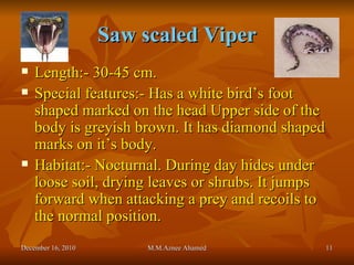 Saw scaled Viper Length:- 30-45 cm. Special features:- Has a white bird’s foot shaped marked on the head Upper side of the   body is greyish brown. It has diamond shaped marks on it’s body. Habitat:- Nocturnal. During day hides under loose soil, drying leaves or shrubs. It jumps forward when attacking a prey and recoils to the normal position. December 16, 2010 M.M.Aznee Ahamed 