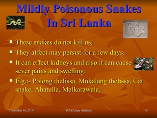 Mildly Poisonous Snakes In Sri Lanka These snakes do not kill us. They affect may persist for a few days. It can effect kidneys and also it can cause sever pains and swelling. E.g.:- Polong thelissa, Mukalang thelissa, Cat snake, Ahatulla, Malkarawala. December 16, 2010 M.M.Aznee Ahamed 